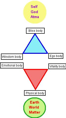 bodies