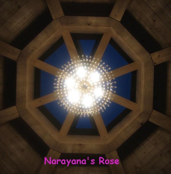 Narayana's Rose